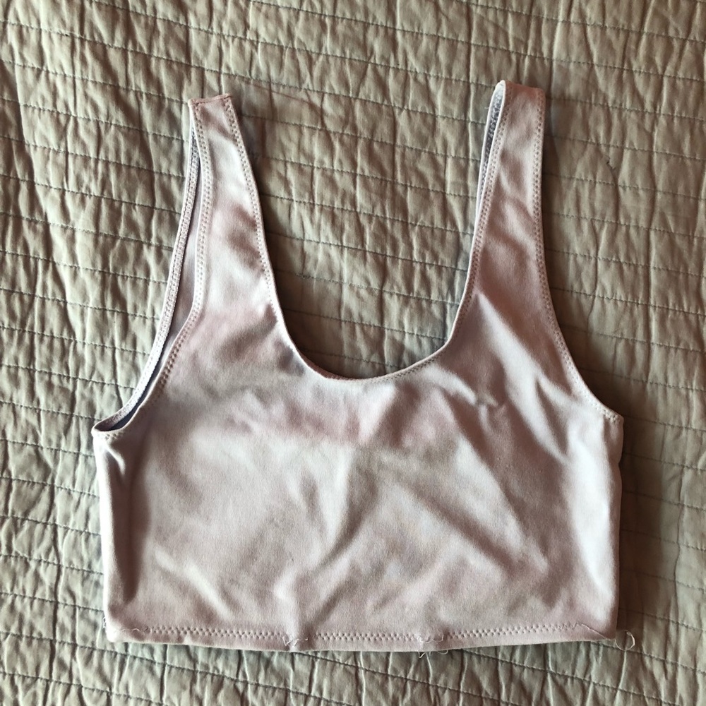 Aritzia Blue Crop Top